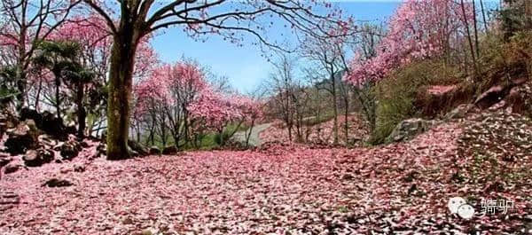 这才是四川最美旅行时间表,全都都美哭了