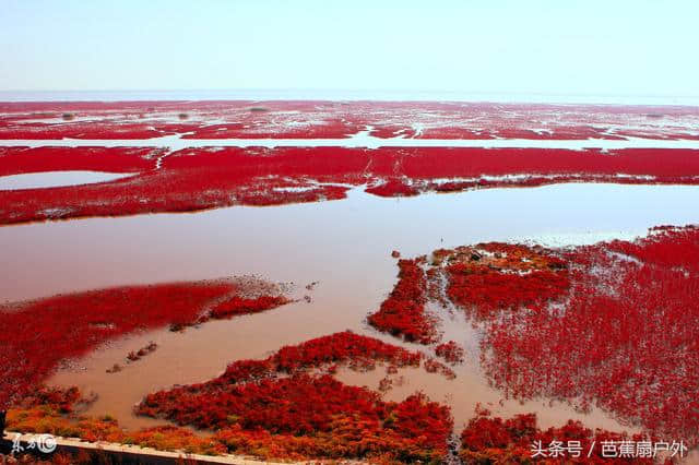 梦幻红海滩辽宁盘锦的红色天堂，自助旅游攻略