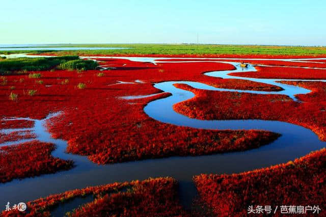 梦幻红海滩辽宁盘锦的红色天堂，自助旅游攻略