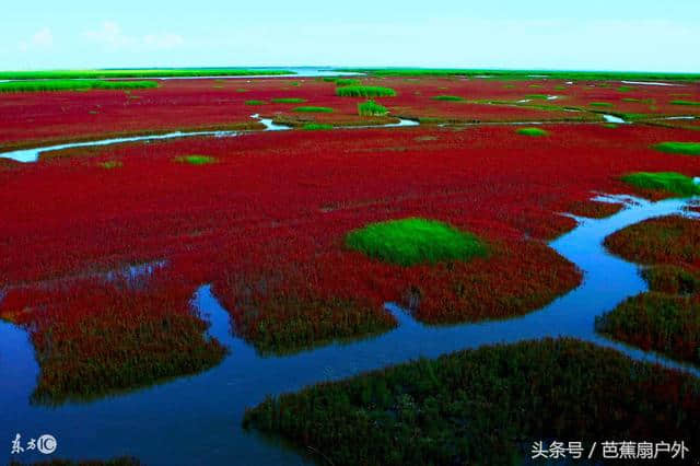 梦幻红海滩辽宁盘锦的红色天堂，自助旅游攻略