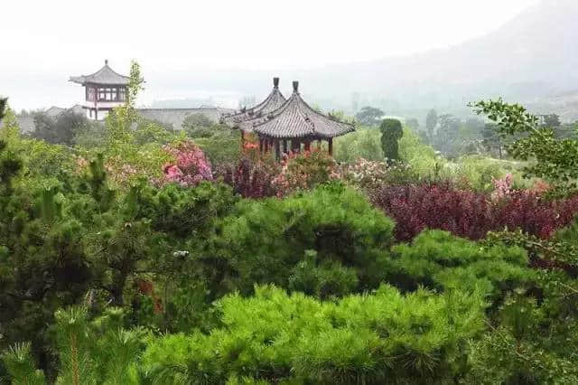 莲花山景区——三月女性特惠月