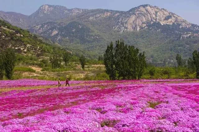 莲花山景区——三月女性特惠月