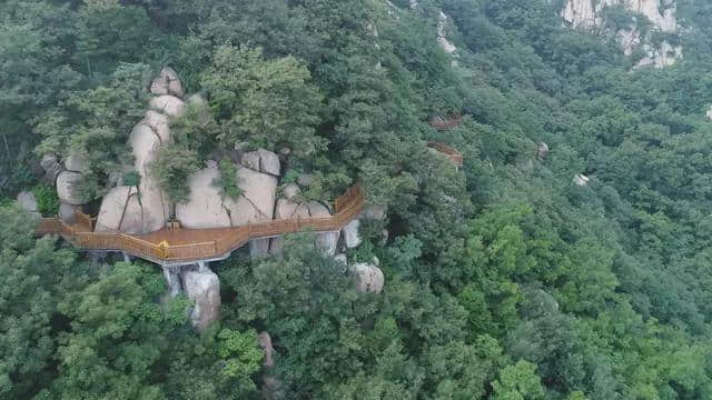 莲花山景区——三月女性特惠月