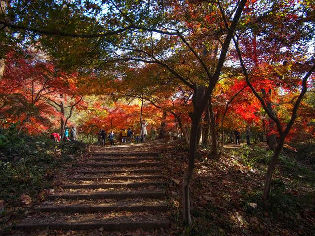 秋天去哪里旅游？给你推荐几个地方（三）