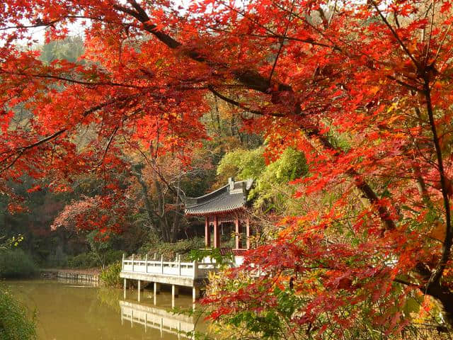 秋天去哪里旅游？给你推荐几个地方（三）