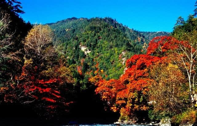 秋天去哪里旅游？给你推荐几个地方（三）