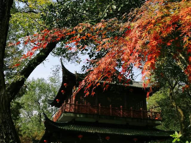 秋天去哪里旅游？给你推荐几个地方（三）