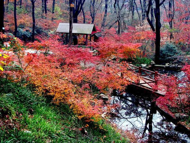 秋天去哪里旅游？给你推荐几个地方（三）