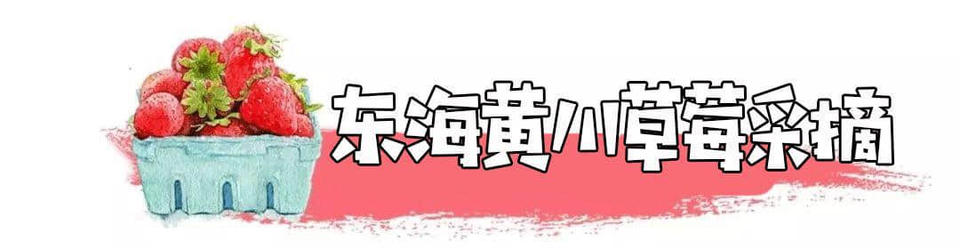 最新！2019连云港采摘攻略火热出炉！地址、路线都在这