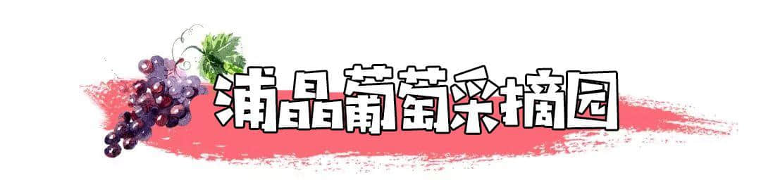 最新！2019连云港采摘攻略火热出炉！地址、路线都在这