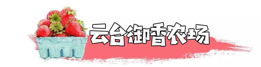 最新！2019连云港采摘攻略火热出炉！地址、路线都在这