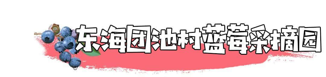 最新！2019连云港采摘攻略火热出炉！地址、路线都在这