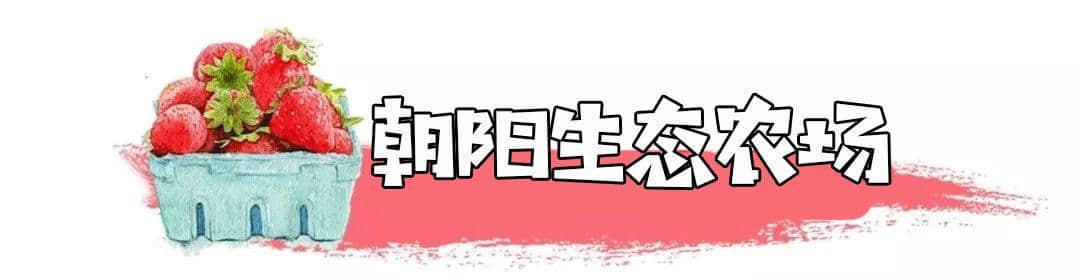 最新！2019连云港采摘攻略火热出炉！地址、路线都在这