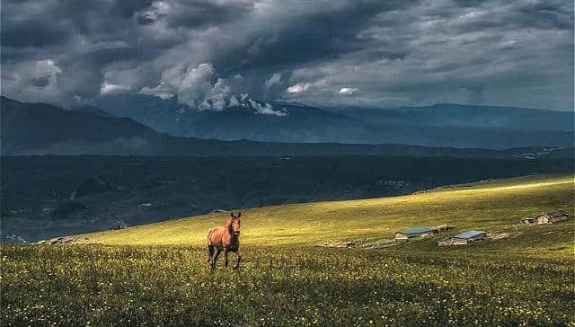 这个地方在甘肃 它堪比江南美景 你会来吗？