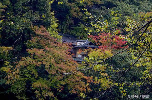 10个秋季旅行的最佳景点