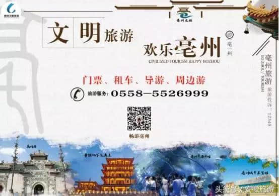 助力药博会，亳州文旅集团十大活动亮点纷呈