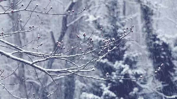 安吉温泉+滑雪+采摘诸多好玩的，玩出冬季新高度哦！