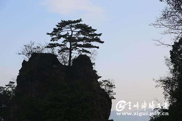 杨勇：要将乐平里、五指山与大老岭旅游一体化开发