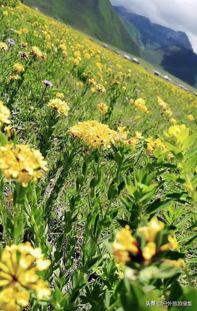 丽江泸沽湖香格里拉10日轻松自驾游行程