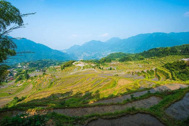 人间最美四月天 清明旅游踏春这些地方一定要去