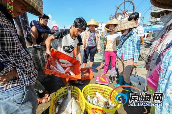 大海+美景+港口！琼海潭门旅游生活名片吸引游客