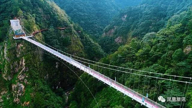 大临安“秋食丰收节”，一大波旅游美食大礼包正向你砸来~