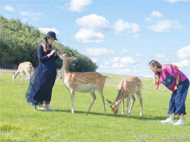 从你的全世界路过—五大连池即将迎来最美秋色