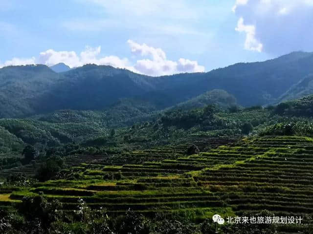 《海南省旅游公共服务体系建设发展规划》项目考察第四站—五指山