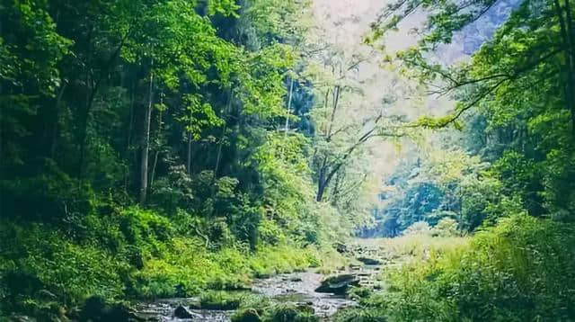 2018欠自己一个旅游！醉美连州，一起来感受大东山的美景！