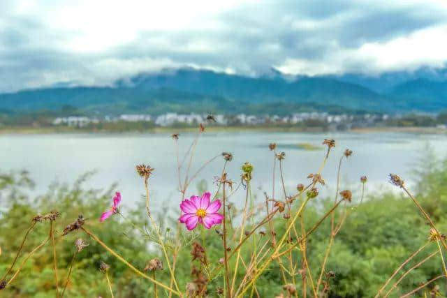 这12个深藏在安徽的美景，骨灰级旅游达人才知道