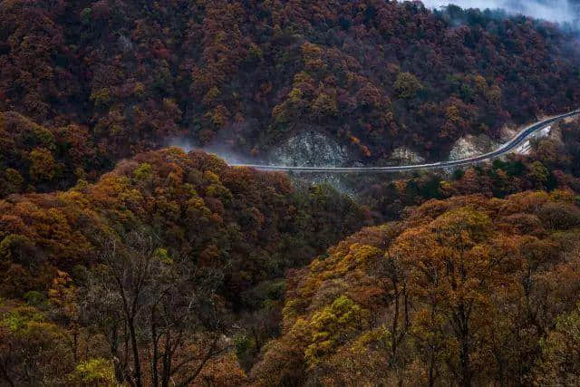 这12个深藏在安徽的美景，骨灰级旅游达人才知道