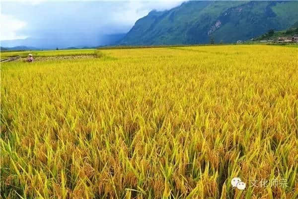 师宗，这里风景独好！