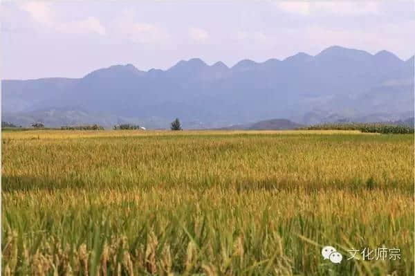 师宗，这里风景独好！