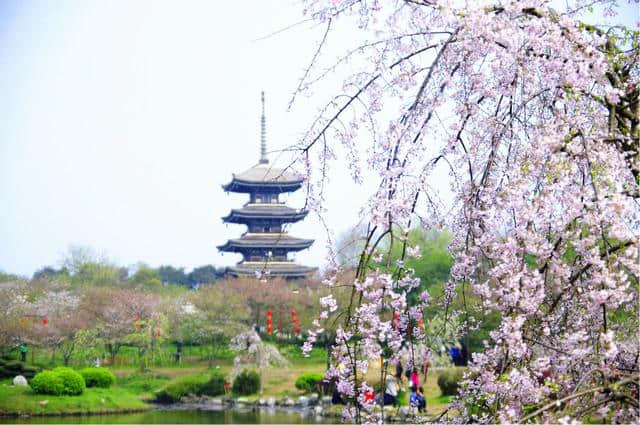 速度收藏！武汉最适合一日游的免费景点！你都去过哪几个？