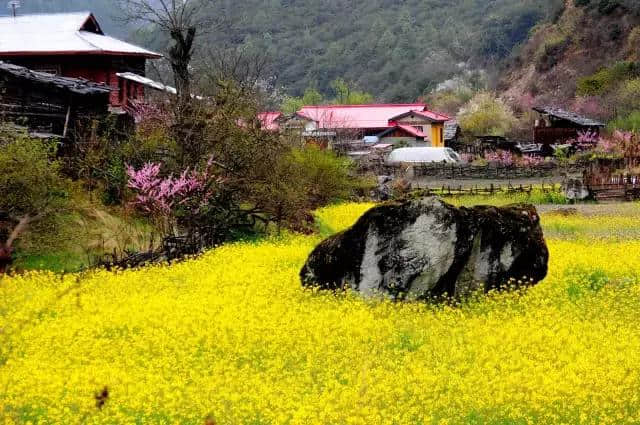 林芝很好，我爱林芝！