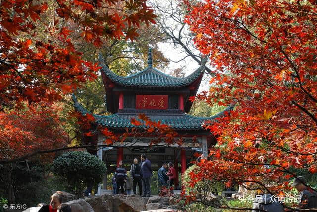 秋季旅行地推荐！推荐几个游赏红叶好去处，绝美风景不能错过！