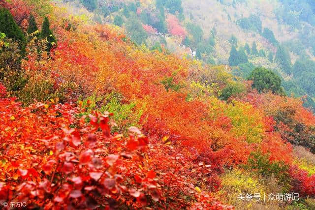 秋季旅行地推荐！推荐几个游赏红叶好去处，绝美风景不能错过！