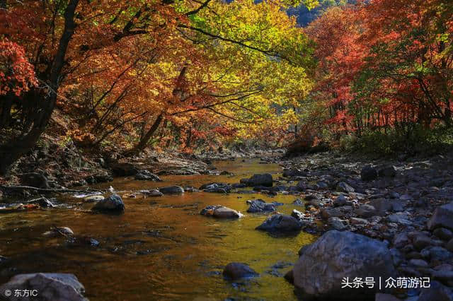 秋季旅行地推荐！推荐几个游赏红叶好去处，绝美风景不能错过！