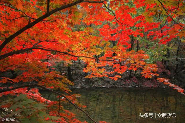 秋季旅行地推荐！推荐几个游赏红叶好去处，绝美风景不能错过！