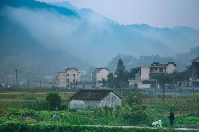 清明小长假精品自驾推荐：三大游玩攻略，让你度过最爽假期