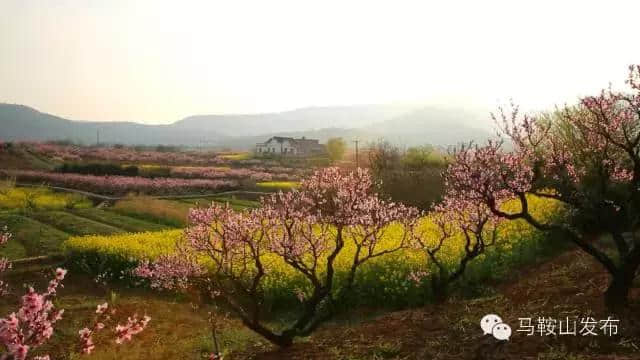 2017安徽最全赏桃花地图，漫天桃花红，十里春光醉