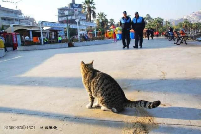 土耳其，爱琴海福卡小镇的美丽时光