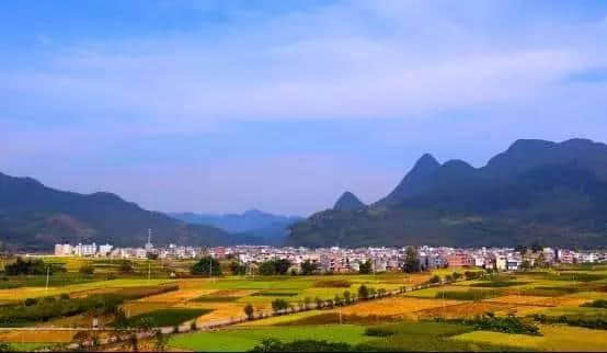 连州这个地方不要太火！栀子花开成海，美景、美食、民俗一个不落