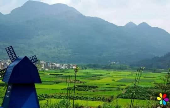 连州这个地方不要太火！栀子花开成海，美景、美食、民俗一个不落