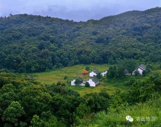 连州这个地方不要太火！栀子花开成海，美景、美食、民俗一个不落