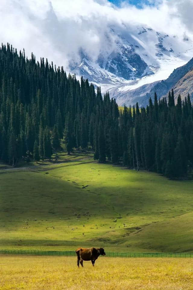 多去旅行，少碰爱情