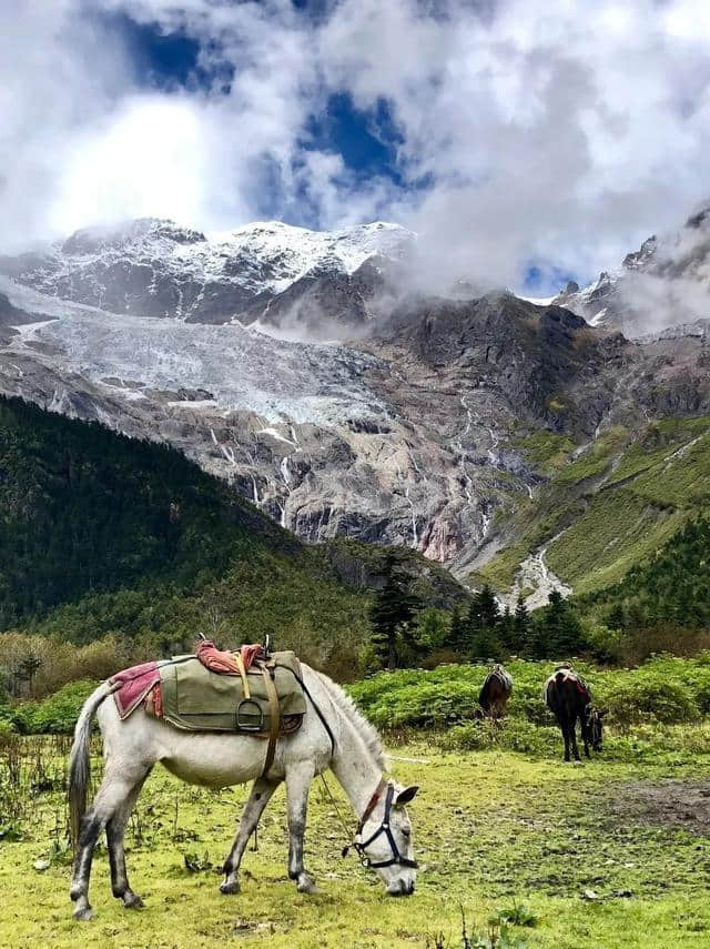 多去旅行，少碰爱情