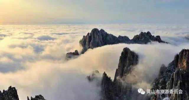 免票or半价！黄山旅游向全球发出盛情邀约，Welcome to Huangshan！