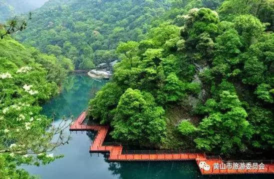 免票or半价！黄山旅游向全球发出盛情邀约，Welcome to Huangshan！