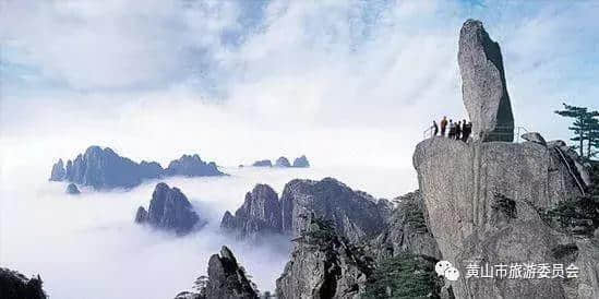 免票or半价！黄山旅游向全球发出盛情邀约，Welcome to Huangshan！